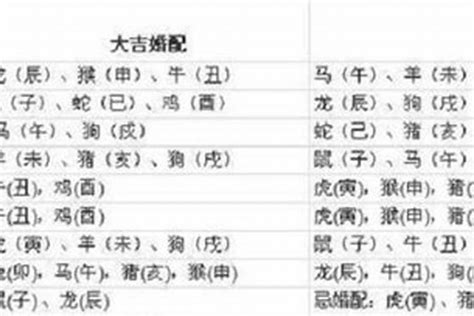 1997年屬|1997年属什么生肖 和什么属相最配